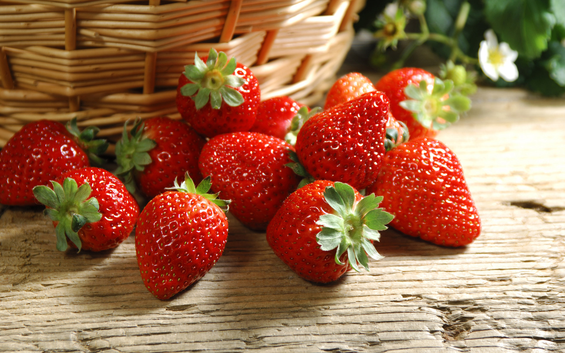 【Yh86银河国际APP】植物生长调节剂在果树上的应用——草莓（二）